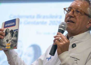 Ministério da Saúde libera versão digital da Caderneta da Gestante